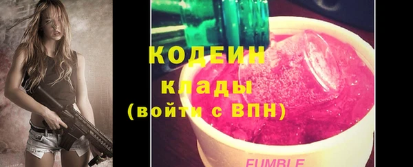 гашик Михайловск