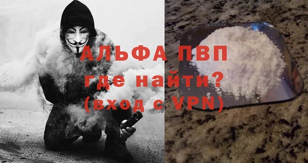 гашик Михайловск