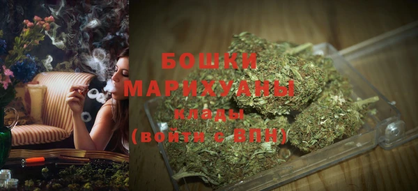 гашик Михайловск