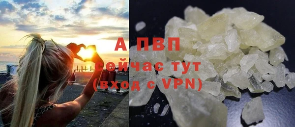 гашик Михайловск